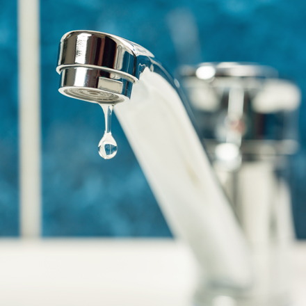 Leaking Taps/Toilet